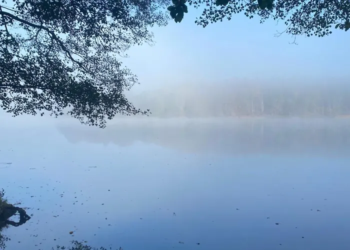 Zum Zenshaus Kleine Auszeit Pensionat *